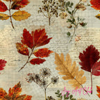 JAC - Standard Bundle Digital Papers - #Autumn Patch