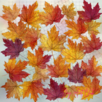 JAC - Standard Bundle Digital Papers Set - #Fall is Here Papers