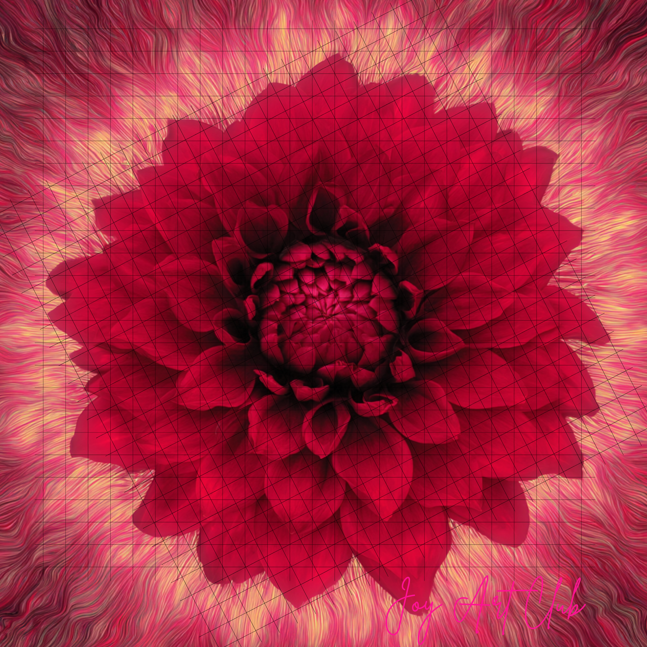 JAC - Standard Bundle Digital Papers Set  - #Rolling Red