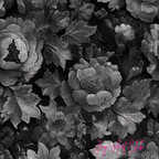 JAC - Stand Bundle Digital Papers Set - #Black Beauty Papers