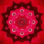 JAC - Standard Bundle Digital Papers Set  - #Rolling Red