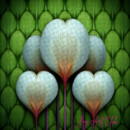 JAC - Standard Bundle Digital Papers Set - #Green Lantern Papers