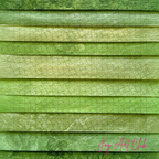 JAC - Standard Bundle Digital Papers - #Greeny Dap