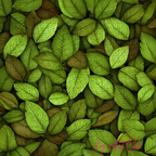 JAC - Standard Bundle Digital Papers Set - #Green Lantern Papers