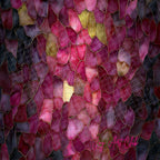 JAC - Mini Bundle Digital Papers Set - #Beautiful Babes