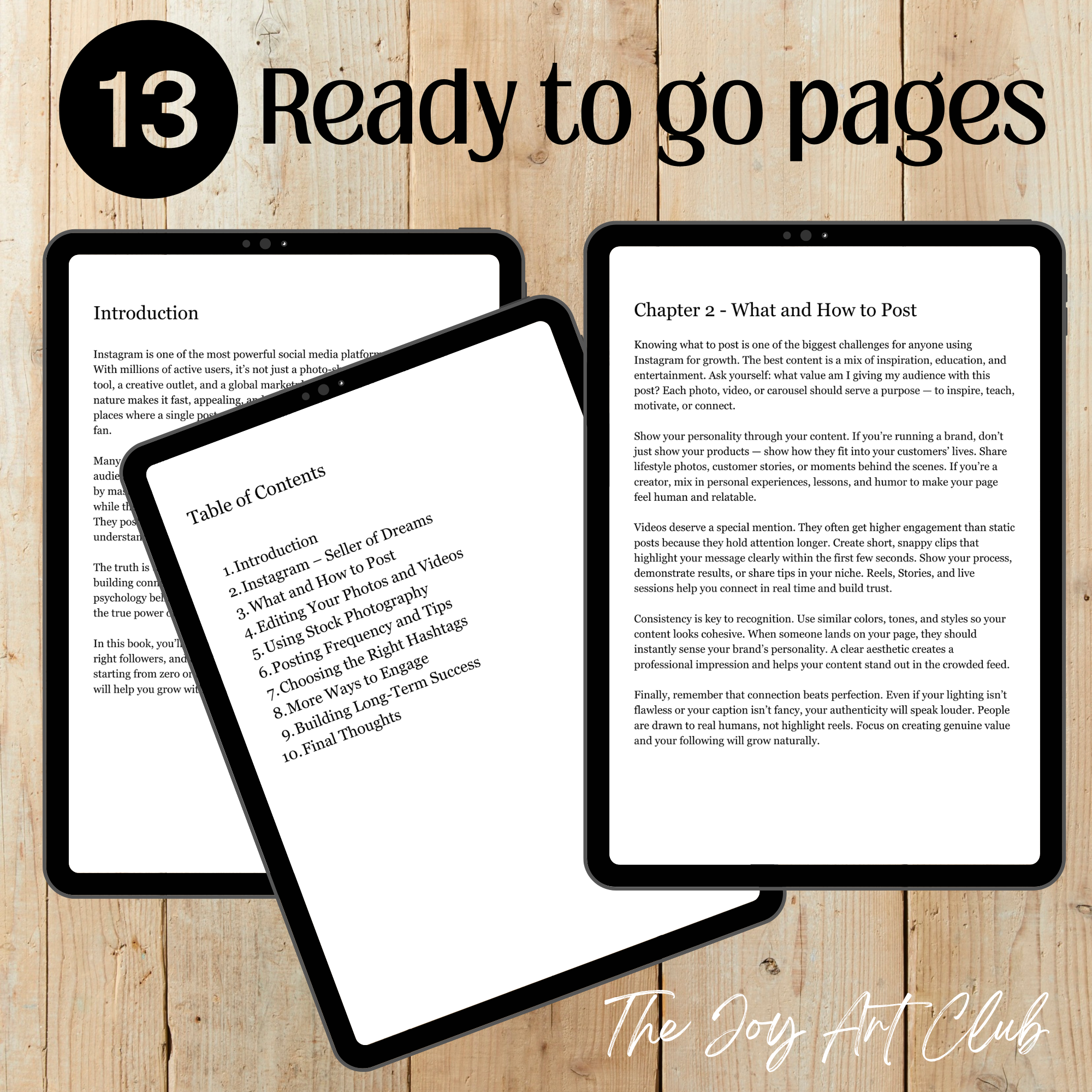 JAC - PLR  / DFY Ebook - 100% Editable - #100 Instagram Followers in A Day